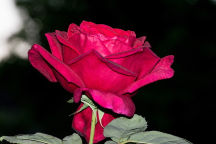 LRM EXPORT 20170513 100301