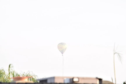 DSC 2507.NEF