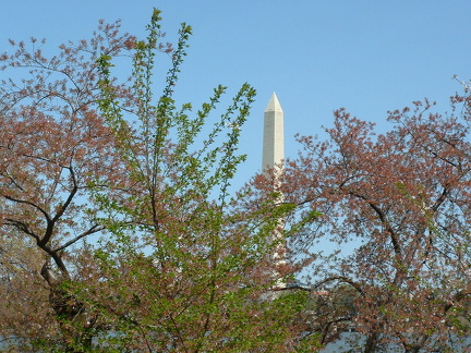 dscf0079