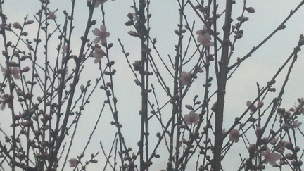 2012-02-11 08-39-45 768
